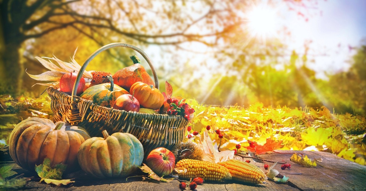 Harvest crops