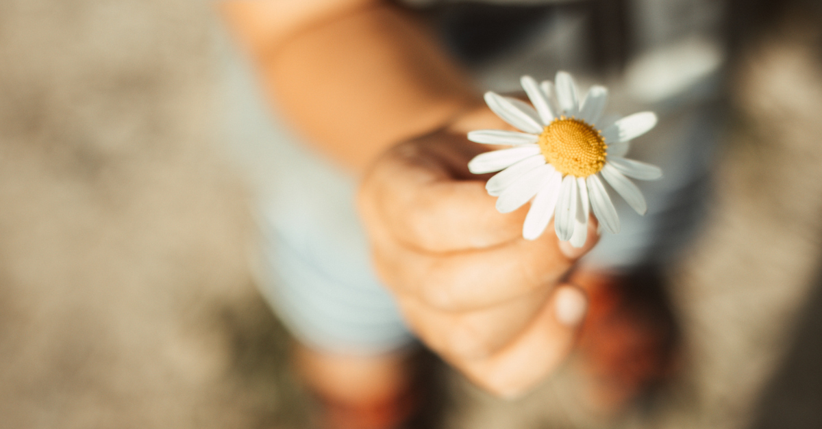 Child (blurred in the background) giving a daisy (in focus) to someone taller; what's your prerogative?.